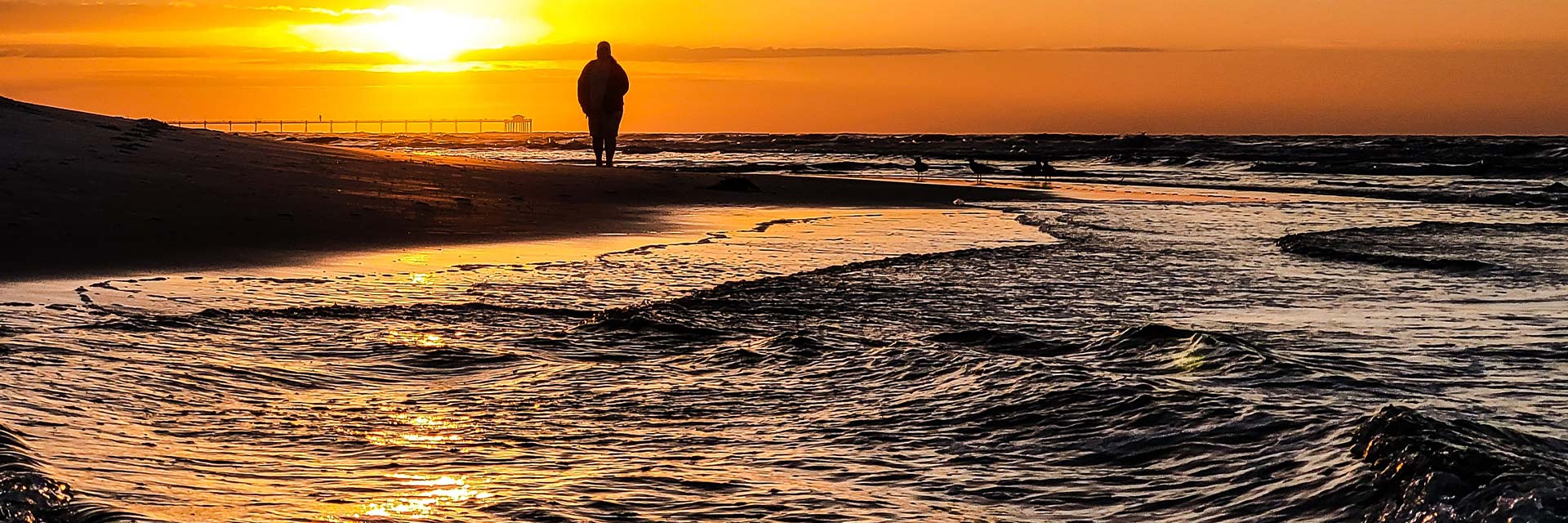 silhouette of person watching sunset on beach